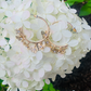 Linked Butterfly semi hoop